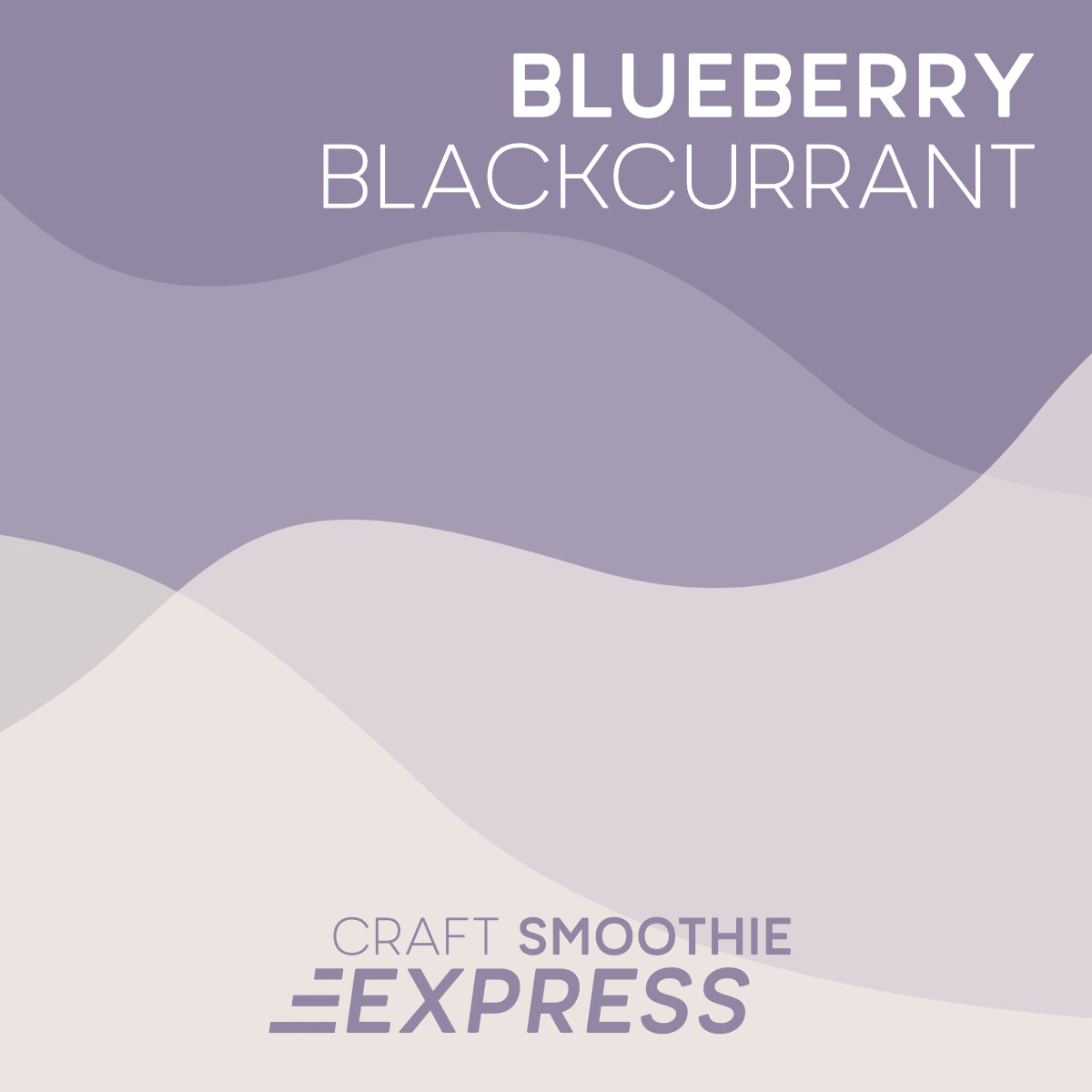 Blueberry Blackcurrant smoothie pouch by Craft Smoothie Express